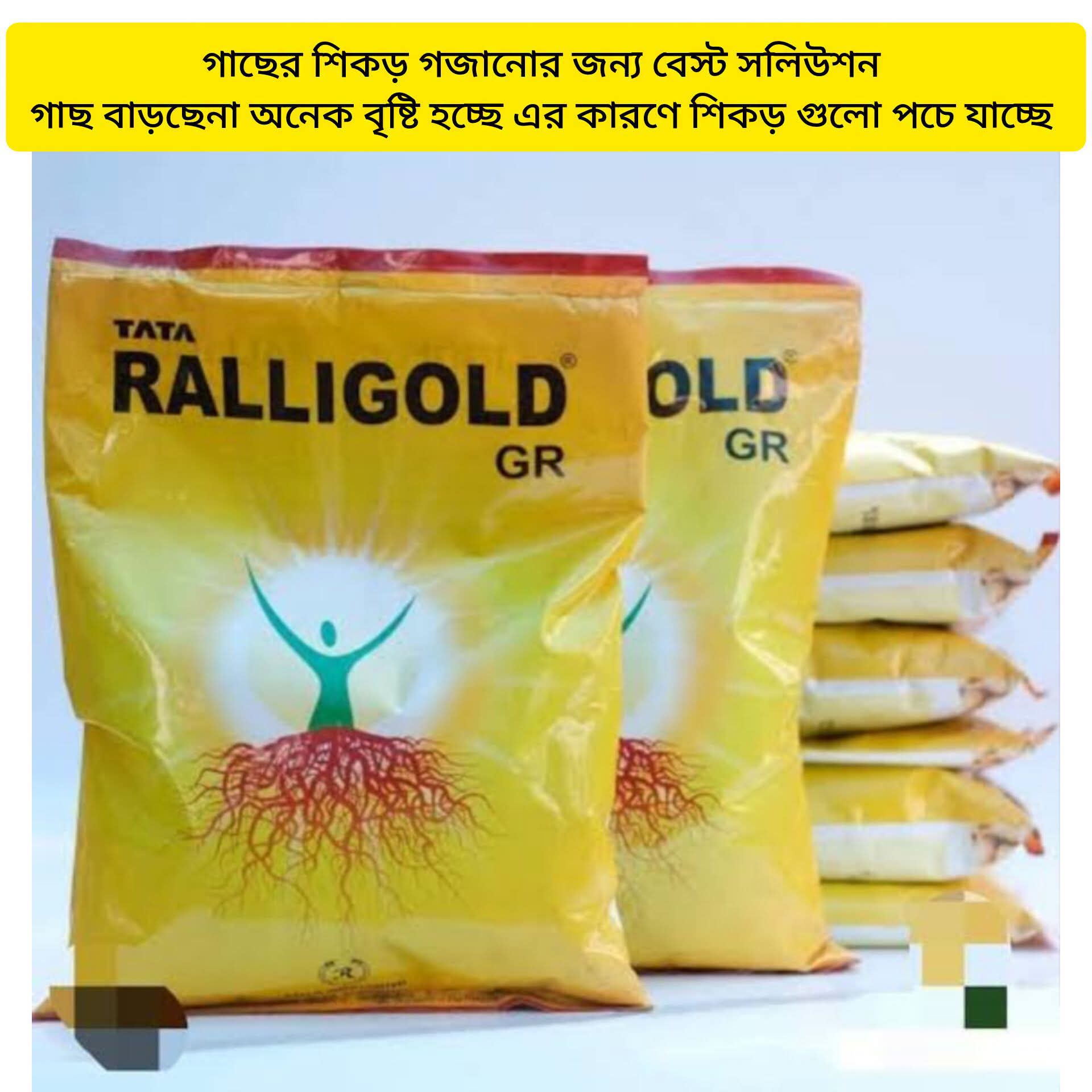 TATA Ralligold GR হলো একটি মাইকোরাইজা ভিত্তিক বায়োফার্টিলাইজার (Mycorrhizal - Image 2