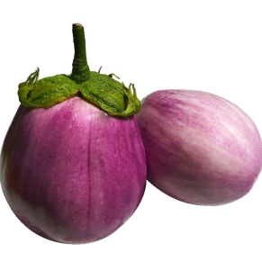 বেগুন বীজ
